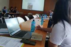 Presenting the project activities and results