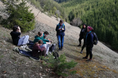 On the mining heaps observing the biodiversity of plants