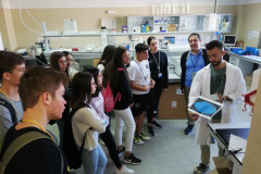 Workshops and experiments about mineralogy at Almadén University