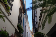 walk through the old part of the city of Córdoba