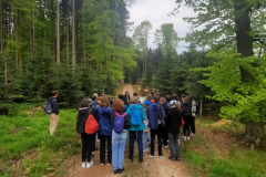 visit to the Fugger forests near Laugna