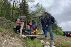 Discovering the magic of water power